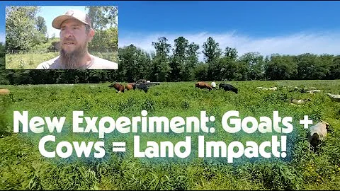 Goats + Cows + Chickens: Multi-Species Grazing for Maximum Impact