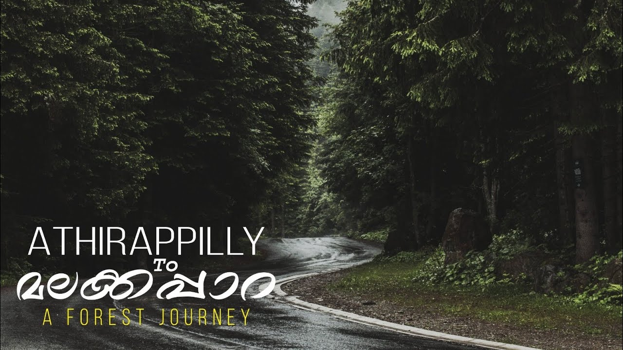 കോടമഞ്ഞോടൊപ്പം ഇനി കുറച്ച് കാട്ടിലൂടെ സഞ്ചരിക്കാം..|Athirapilly to Malakkappara | Vazhachal Forest |