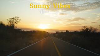 Day Drive ☀️ Chill Beats – Relaxing Music for Driving / Study / Focus