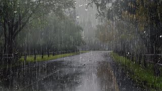 Rain Sound for Deep Sleep and Mental Relaxation in 6 minutes  Rain Noise in the Foggy Forest