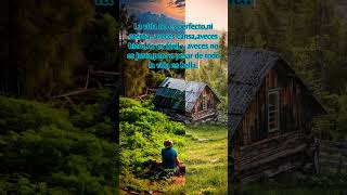 la vida es bella #frases #naturaleza #viral #reflexiones #motivación #shorts