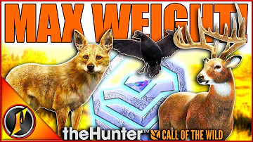 Giant MAX WEIGHT Buck + Melanistic Mallard for the Layton Trophy Cabin!