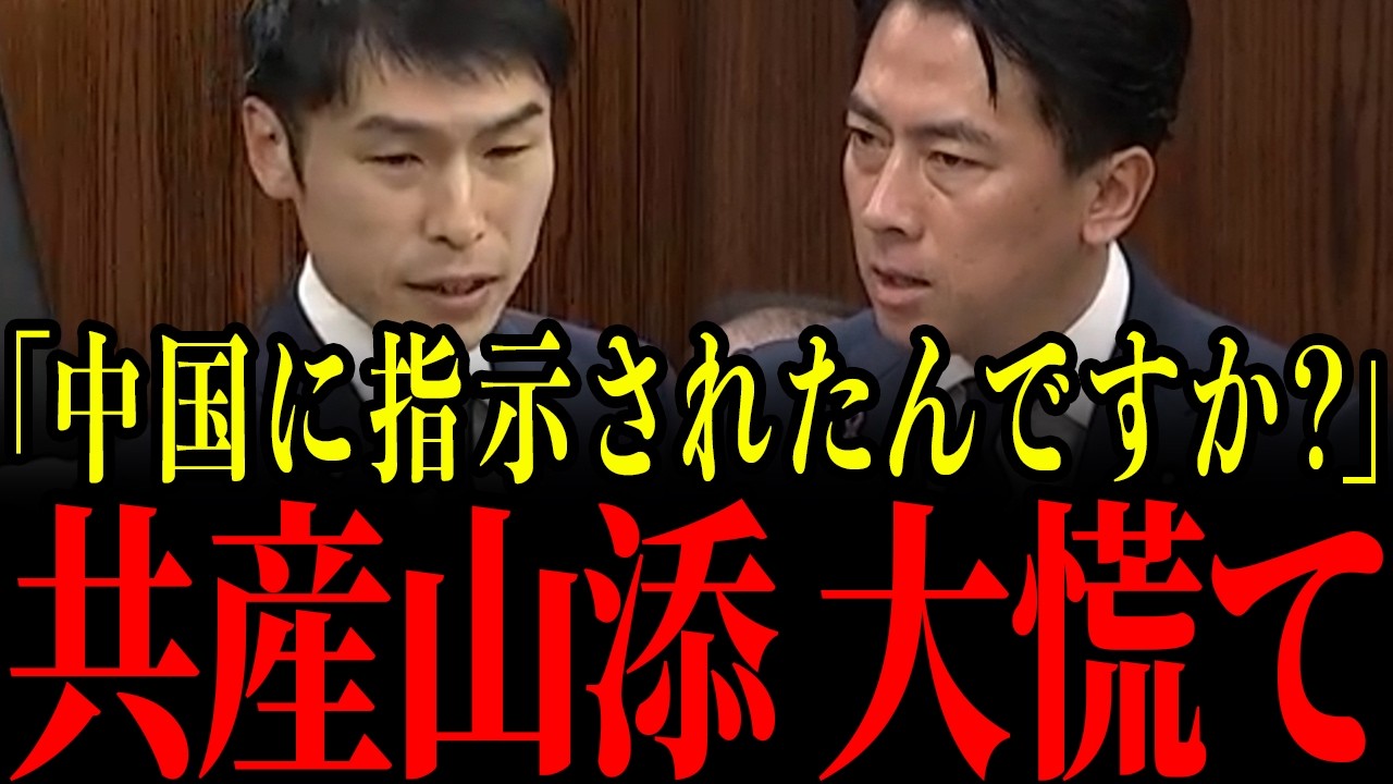 【小泉進次郎】共産山添にここまで言うとは…まさかの発言に国会騒然…とんでもない事態になりました…【自民党/日本共産党】