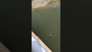 Celebrity April 1, 2019 Profile