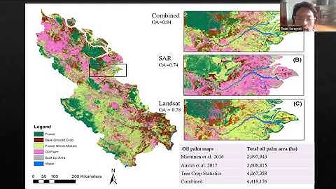 Combining radar and optical imagery to map oil palm plantations in Sumatra - J. Lee, T. Sarzynski