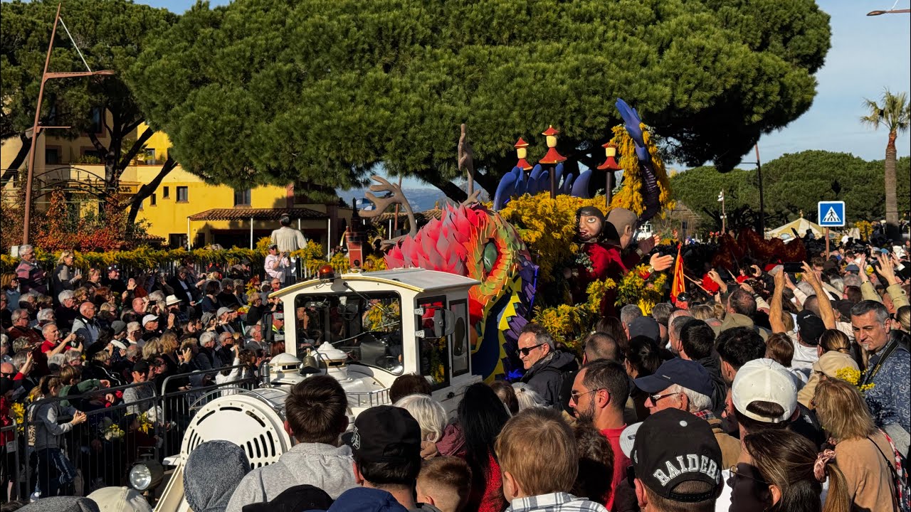 Fête du Mimosa à Mandelieu - Les Carnaval des Carnavals 2026 🎉