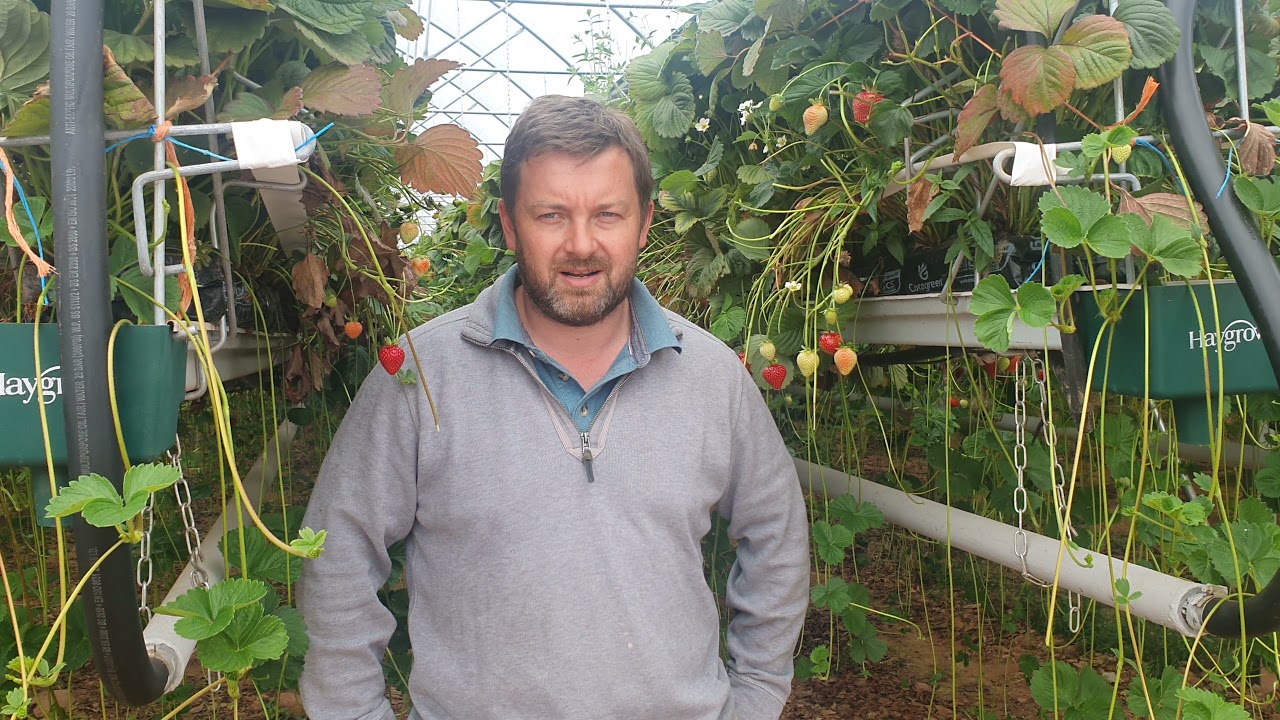 Ross Mitchell, of Castleton Fruit Ltd
