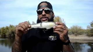 I swim my NEW modified DEPS 250 foil wrapped by the CrazyBassFisher