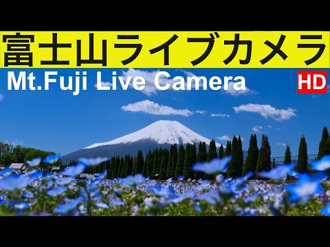 FUJI LIVE CAMERA 夏の富士山、北斎画の富士山、Mt. Fuji" live camera, World heritage of JAPAN.！世界遺産「富士山」昼の部、（竹の間）