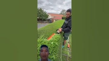 Máy cắt tỉa cây cảnh siêu đẹp #garden