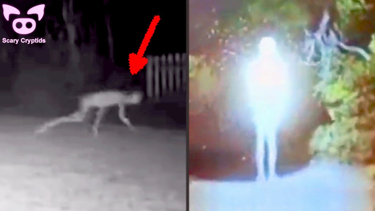 SCARY CRYPTIDS and CREEPY CREATURES Caught on Camera