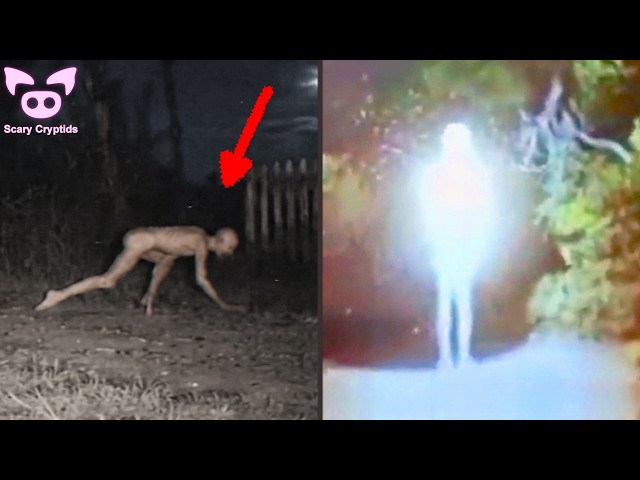 SCARY CRYPTIDS and CREEPY CREATURES Caught on Camera