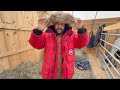 Canada Goose Expedition Parka Review Long Term Ownership Canada Goose Expedition Parka Review Long Term Ownership