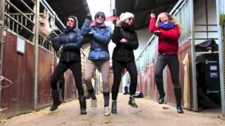 Ridelinjen På Vestbirk Mu- & Sportsefterskole