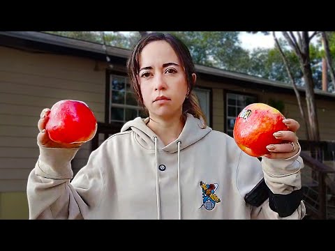 Giving Acero and the Donkeys Apples + NEW LORE