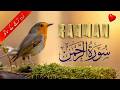 Surah Rahman Urdu Tarjuma ke Sath | Abdul Basit Abdul Samad | Surah Rahman | Noor Quran Recitation