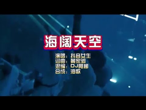 抖音女生《海阔天空》阿柳VinaH KTV 导唱字幕 （备有伴奏视频）