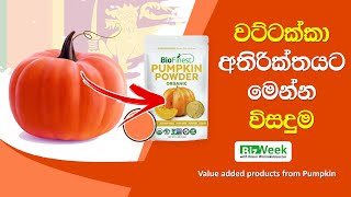 වට්ටක්කා අතිරික්තයට හොදම විසදුම | Value added products from Pumpkin | Sri Lanka | Biz Week