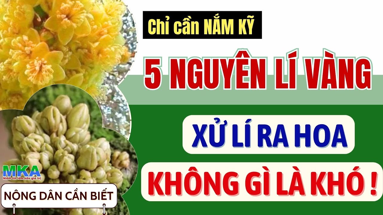 Nông dân cần biết về 5 NGUYÊN LÝ VÀNG bắt buộc phải Đạt trong Xử lí ra hoa trên cây trồng