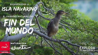 🍀En Tierra del Fuego, ISLA NAVARINO, el paraíso natural del FIN DEL MUNDO 🌎