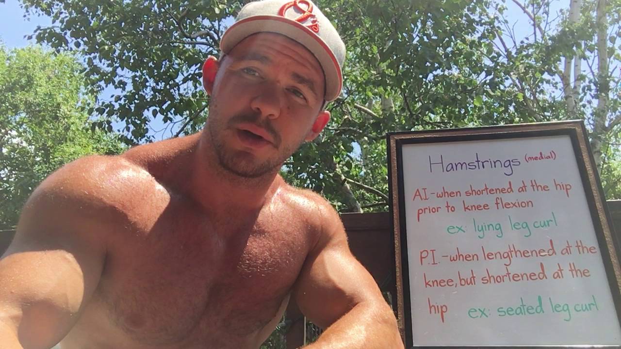 Hamstrings - The Role Of Active/Passive Insufficiency #4 of 5