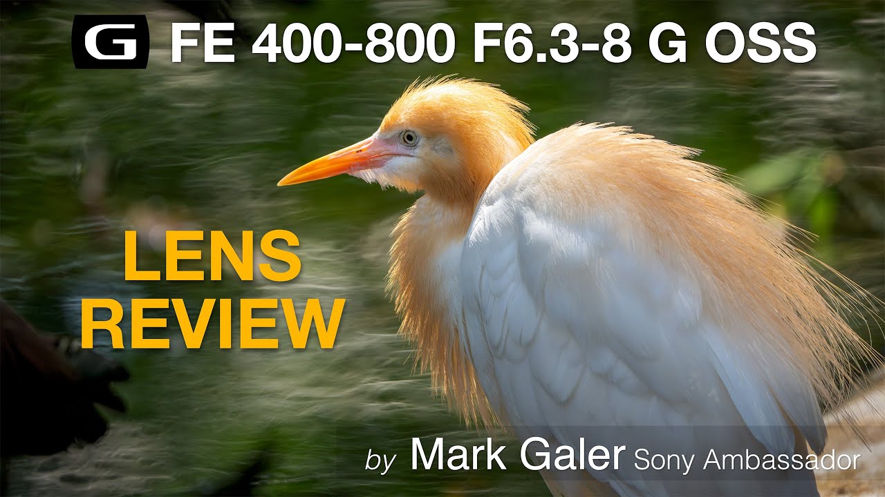 Sony FE 400-800 F6.3-8 G OSS Lens Review