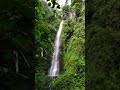 Panchami Waterfall Sangsey Kharka Kalimpong #short