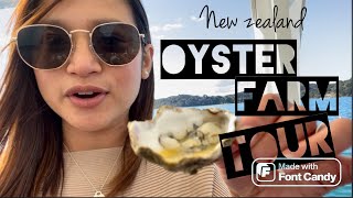 New Zealand's Oyster Farm Tour. Allyoucaneat OYSTERS!!!!