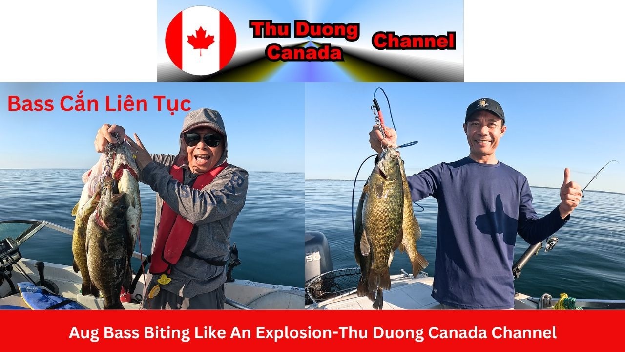 Aug Bass Bite Like An Explosion-Thu duong canada channel