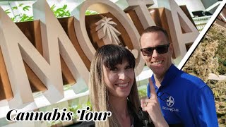 Mota: Cannabis Dispensary & Grow Tour
