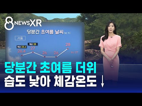 [날씨/XR] 당분간 초여름 더위..습도 낮아 체감온도↓/ SBS 8뉴스