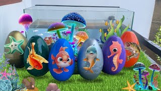 Colorful surprise eggs, lobster, snake, cichlid, betta fish, turtle, butterfly fish, duck