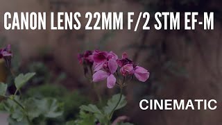 CANON 22mm F/2.0 | VIDEOTEST, CANON M50+22MM+FEIYU G6 MAX