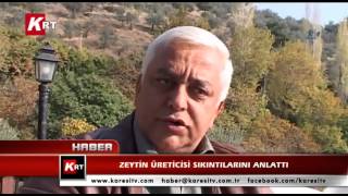 Zeytin Üreticisi Sıkıntılarını Anlattı