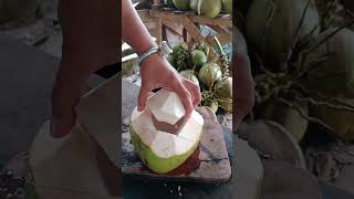 Download Lagu Natural drink, professional cut. 🥥🌴#coconut#asmr#satisfying#oddlysatisfying#foodprocess MP3