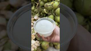 He cuts coconuts without looking😱