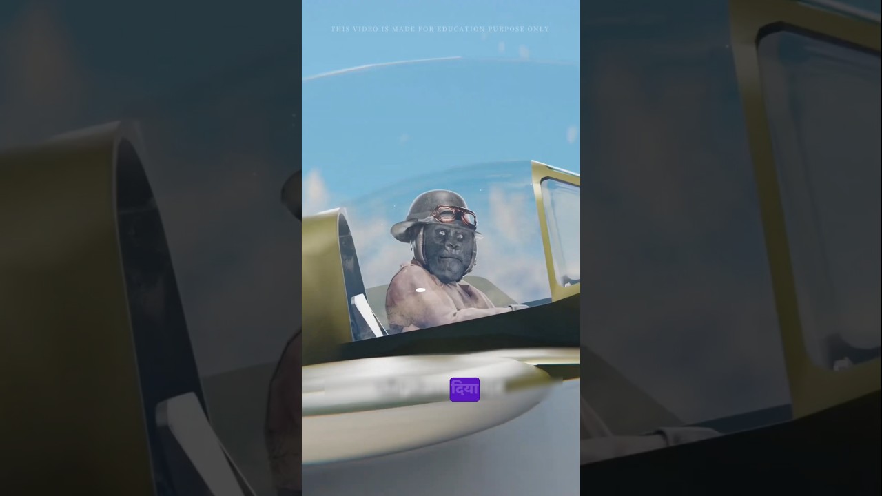 pilot is gorilla in USA !! 🦍 #shorts