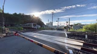 【1日1本の草野始発】528M 常磐線E501系 通過 (K701編成)