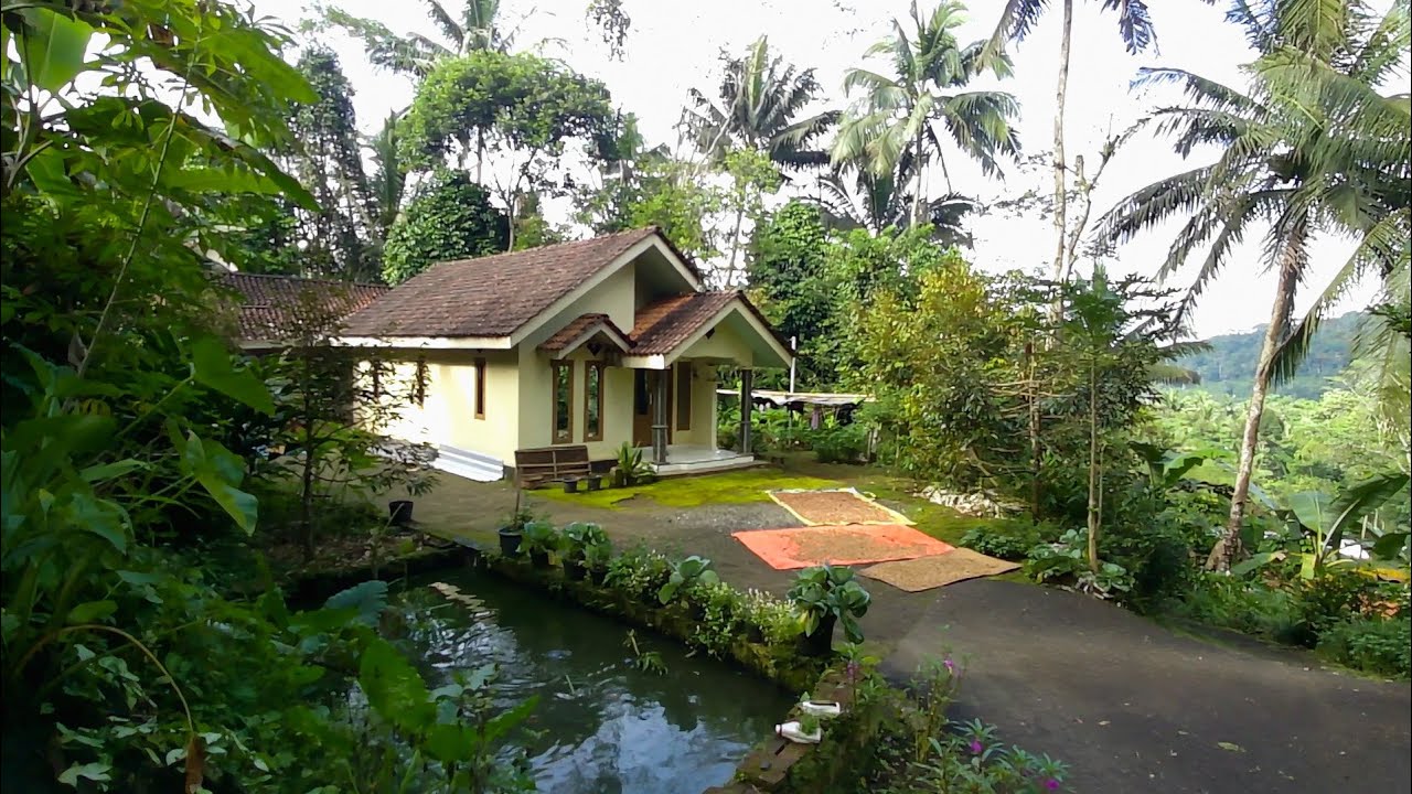 Rumah Rumah Impian Di Desa Yang Asri Dan Sejuk Di Medono Kaliwiro Wonosobo Jawa Tengah