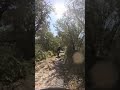 Trace 0473 - belle descente technique. C'est mieux quand c'est sec. #vtt #amtb