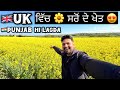 🇬🇧 UK ਵਿੱਚ Punjab ਵਰਗੇ ਖੇਤ 😱