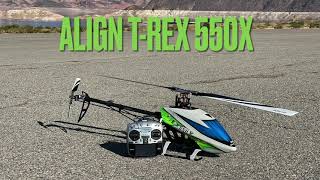 Ben “The Gambler” Storick ALIGN T-Rex 550X Lake Field Flight!
