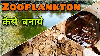 Zooplankton ( तालाब के पानी में ज़ूप्लंकटन कैसे बनाएं ) How to Grow Zooplankton in Fish Pond - Hindi screenshot 3