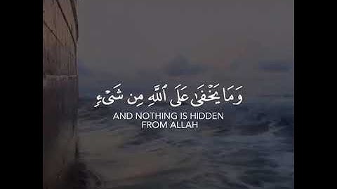 تلاوه خاشعه | بصوت القارئ احمد النفيس | حالات واتس اب دينيه♥♥.