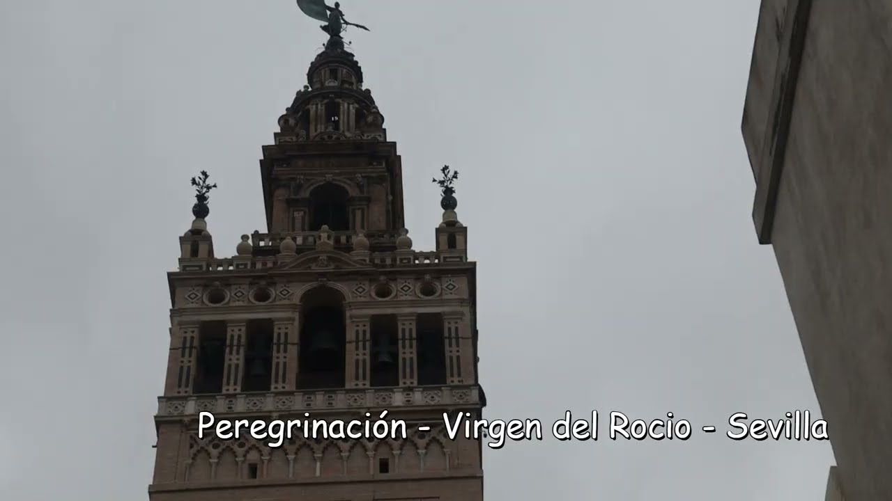 Peregrinación Virgen del Rocio   Sevilla
