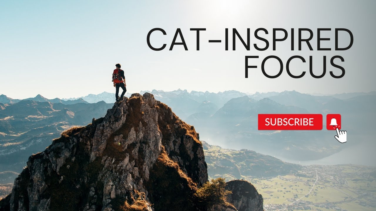 Overcoming Study Challenges: Ambient Music with Cat Inspiration