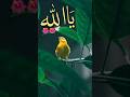 Agar Allah Paak tumse raazi hai,#islamicstatus #shortvideo #urdupoetry #youtubeshorts