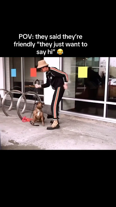 How To Not Get Bit When A Dog Comes For You.