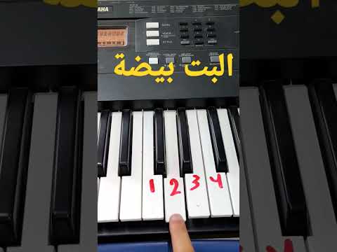تعليم عزف البت بيضة 