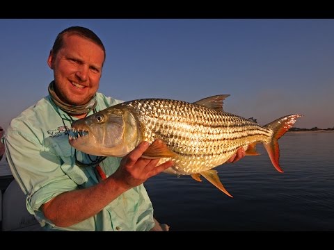 Tigerfishing - Upper Zambezi River - Zambia